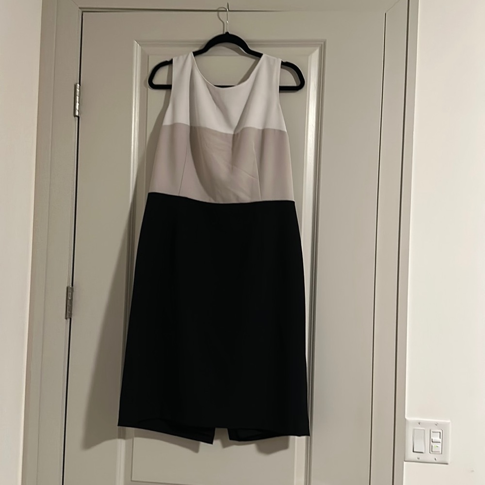 Kasper Professional Dress